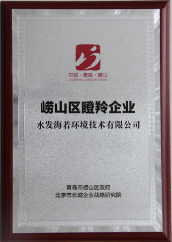 我公司榮獲首批青島市“嶗山區(qū)瞪羚企業(yè)”稱號(hào)